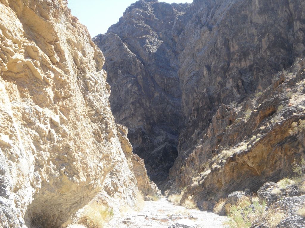 The high cliffs above Big Fall Canyon became more evident as we moved down canyon: