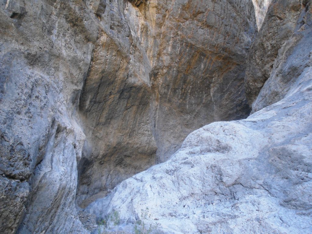 The narrows were amazing right from the beginning: