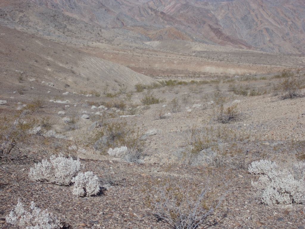 After some gentle uphill walking for an hour or so, we began descending in this small drainage: