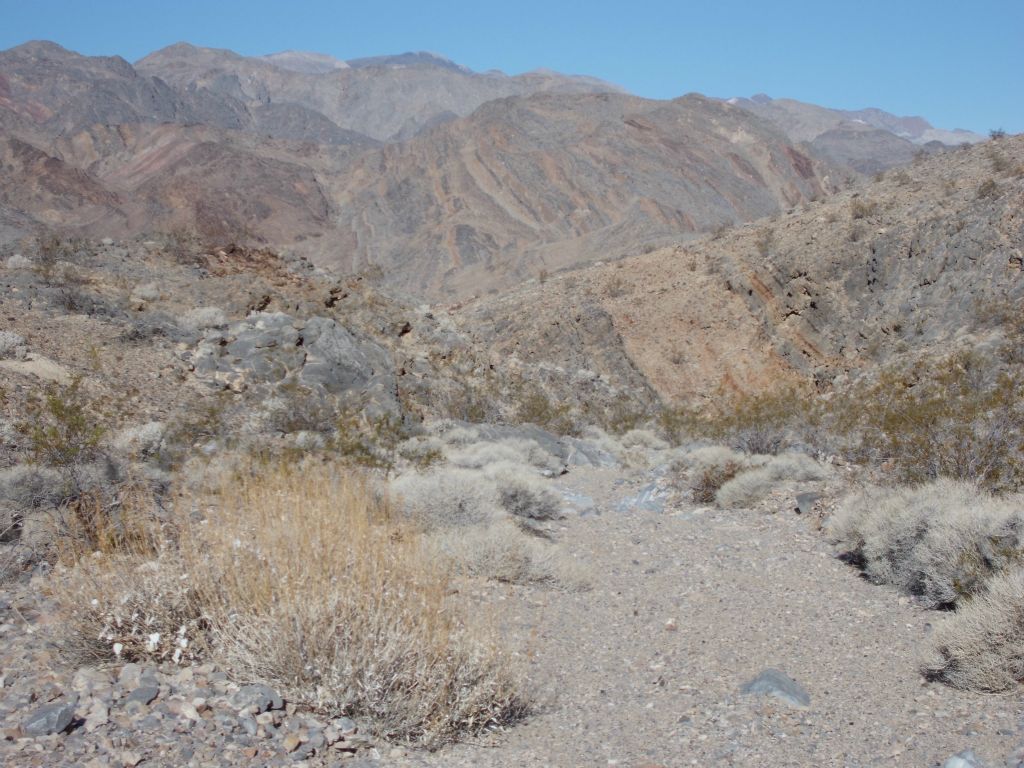 The gentle downhill walk continued to be easy: