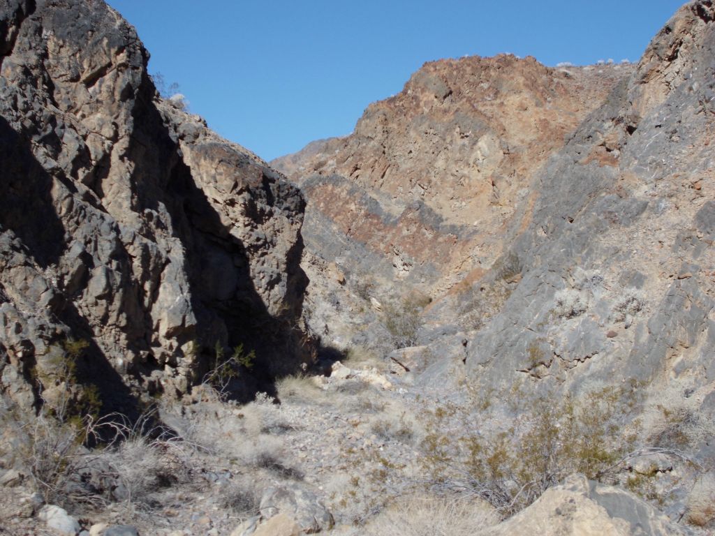 It took a while, but we followed some sheep trails down which dropped us back into the canyon: