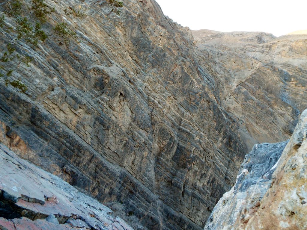 This is the view (to the north) from the lookout bench.  Note the massive canyon walls rising up from below: