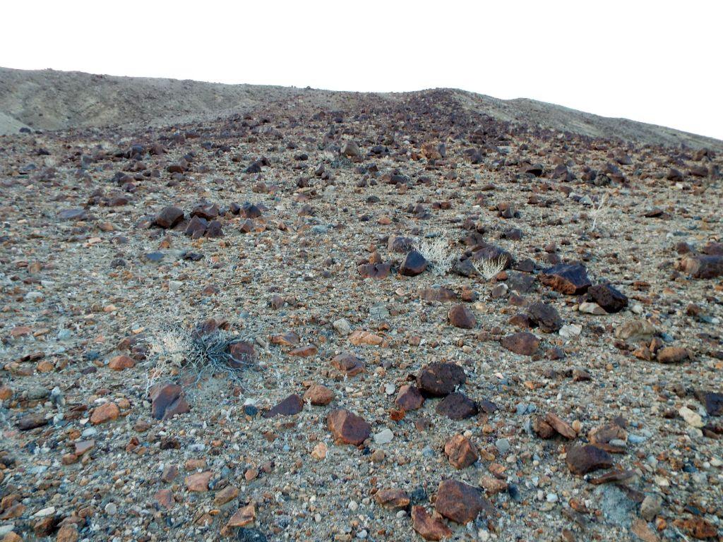 Upon exiting the escape gully, we began climbing the hillside toward the top ridge: