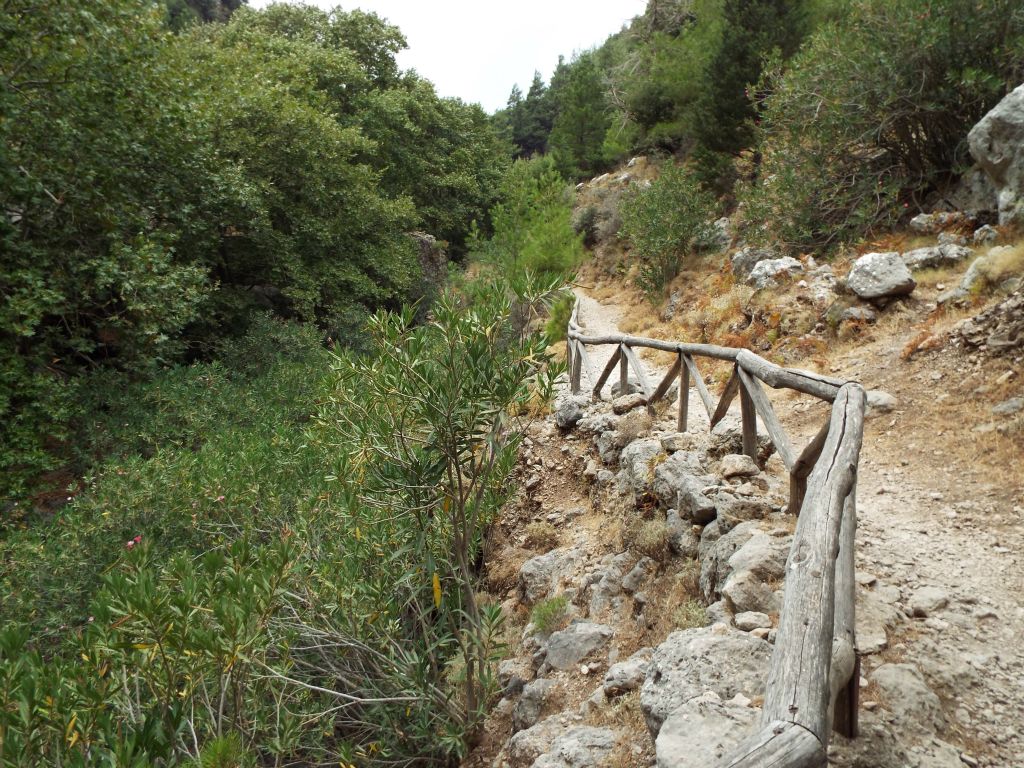 Steep drops along the path are protected by wooden handrails: