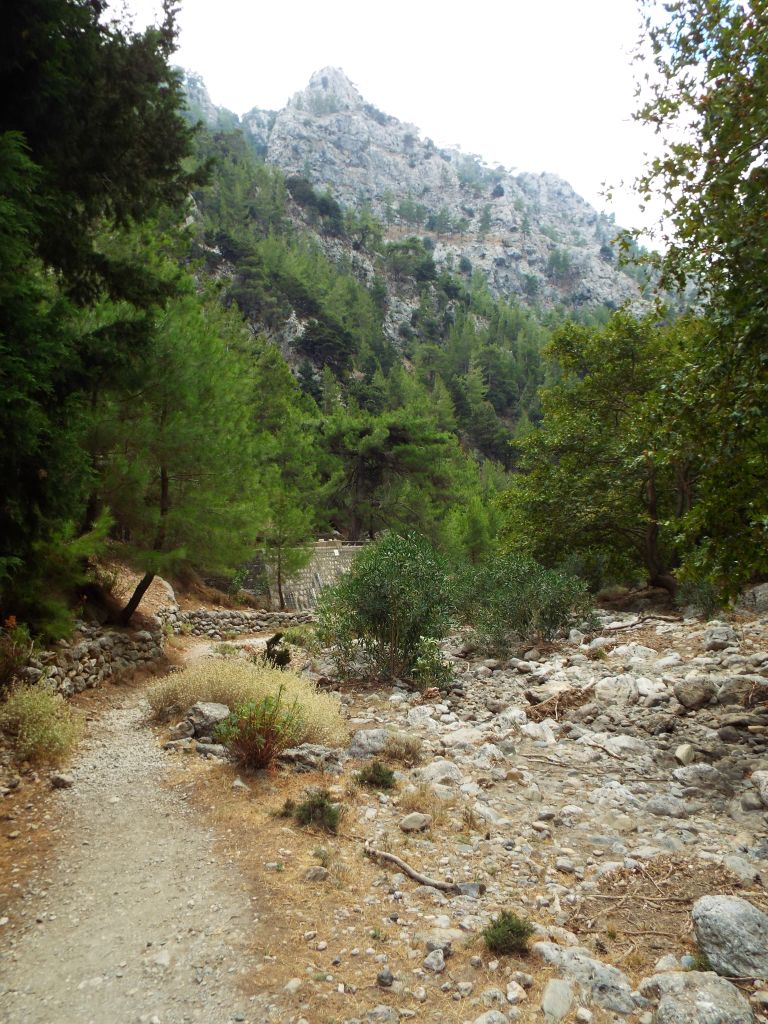 An easy walking path heading down canyon: