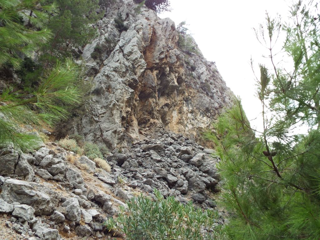Areas of rockslides are frequent in the canyon.  In fact, this canyon is not recommended for hiking after recent rains due to rockfall hazards:
