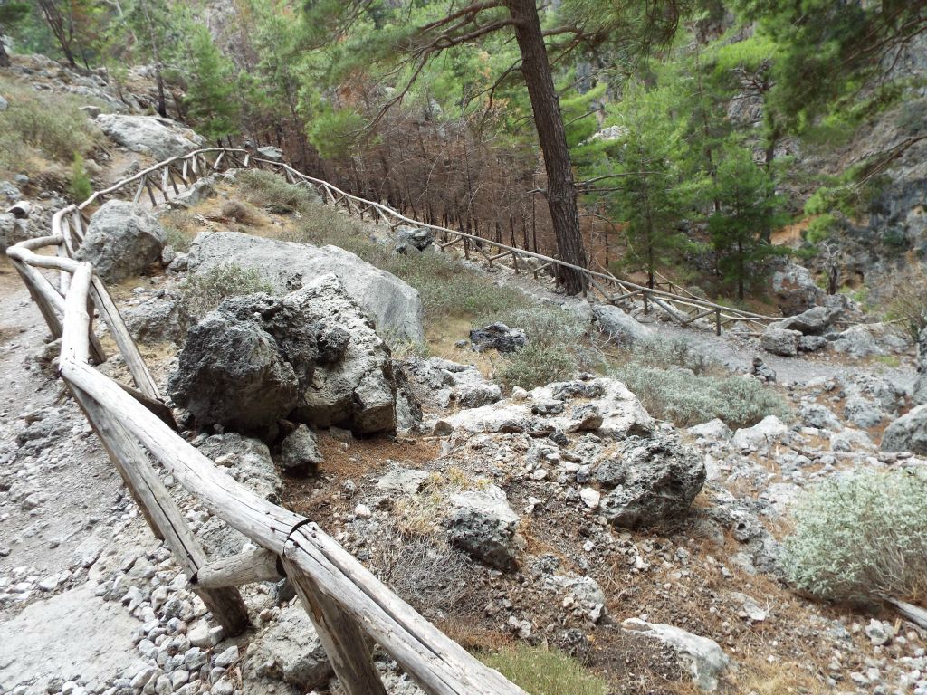 The next two pictures show the steep descent back down into the gorge: