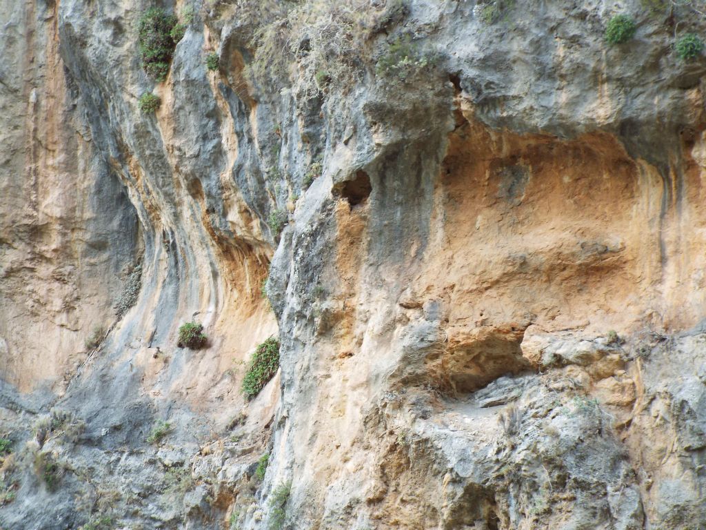 More pretty patterns and curves on the canyon wall: