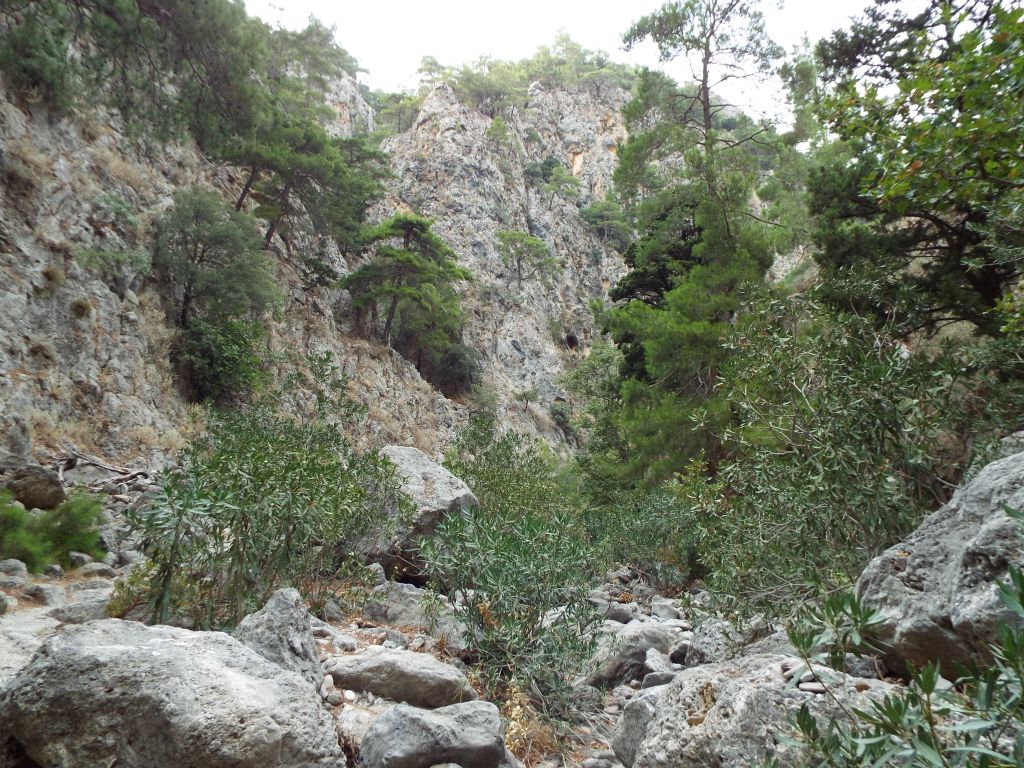 Notice the sheer height of the wall rising above the canyon floor: