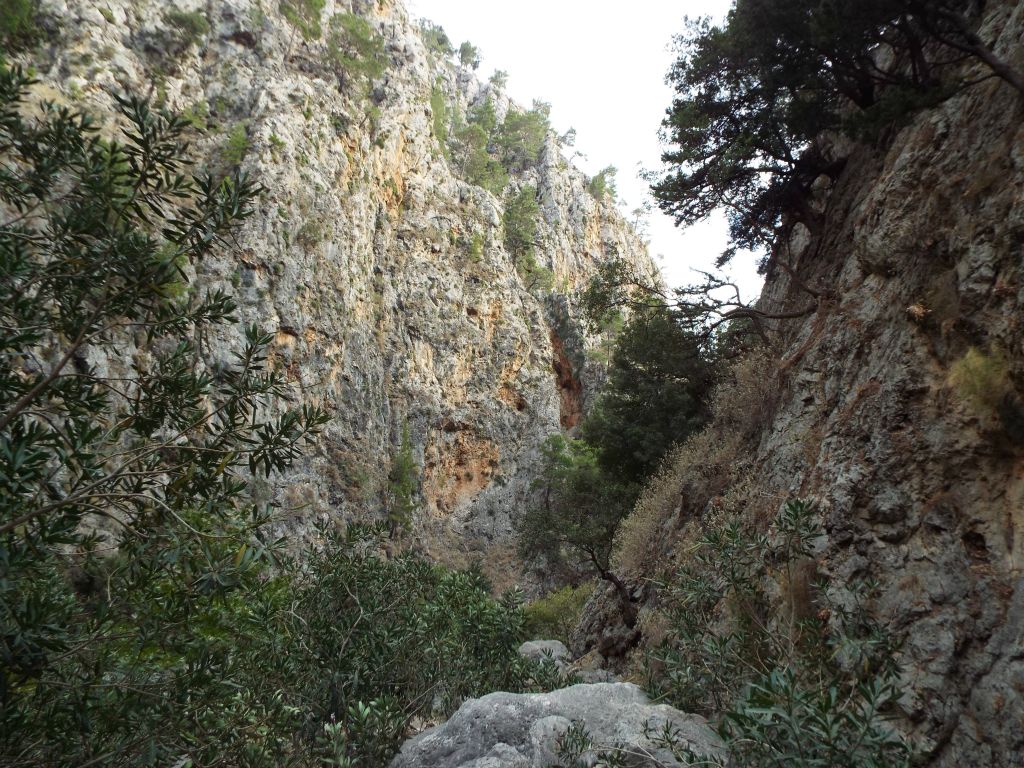 Approaching a dramatic bend in the gorge: