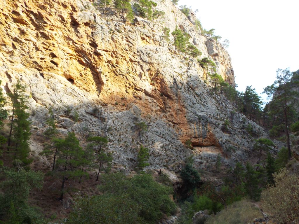 This colorful orange rock seemed to be on display a lot through the middle canyon:
