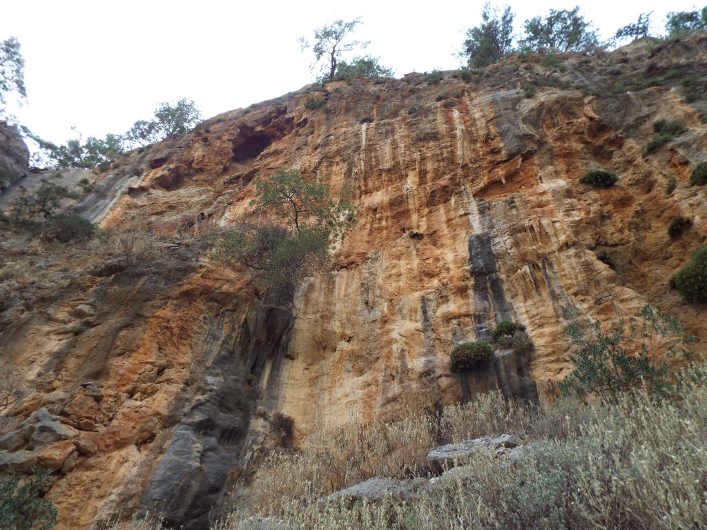 Looking up at a variety of colors and streaks created by water flow and erosion: