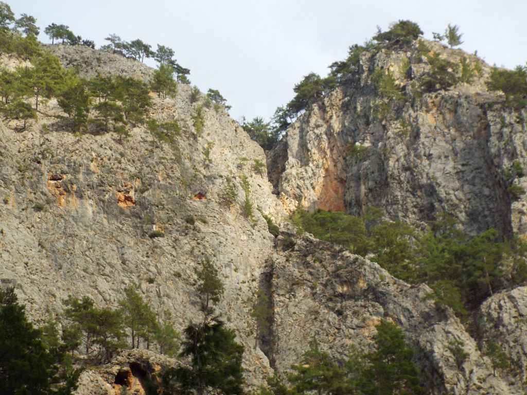 Occasionally, a small side canyon would cut into the main gorge: