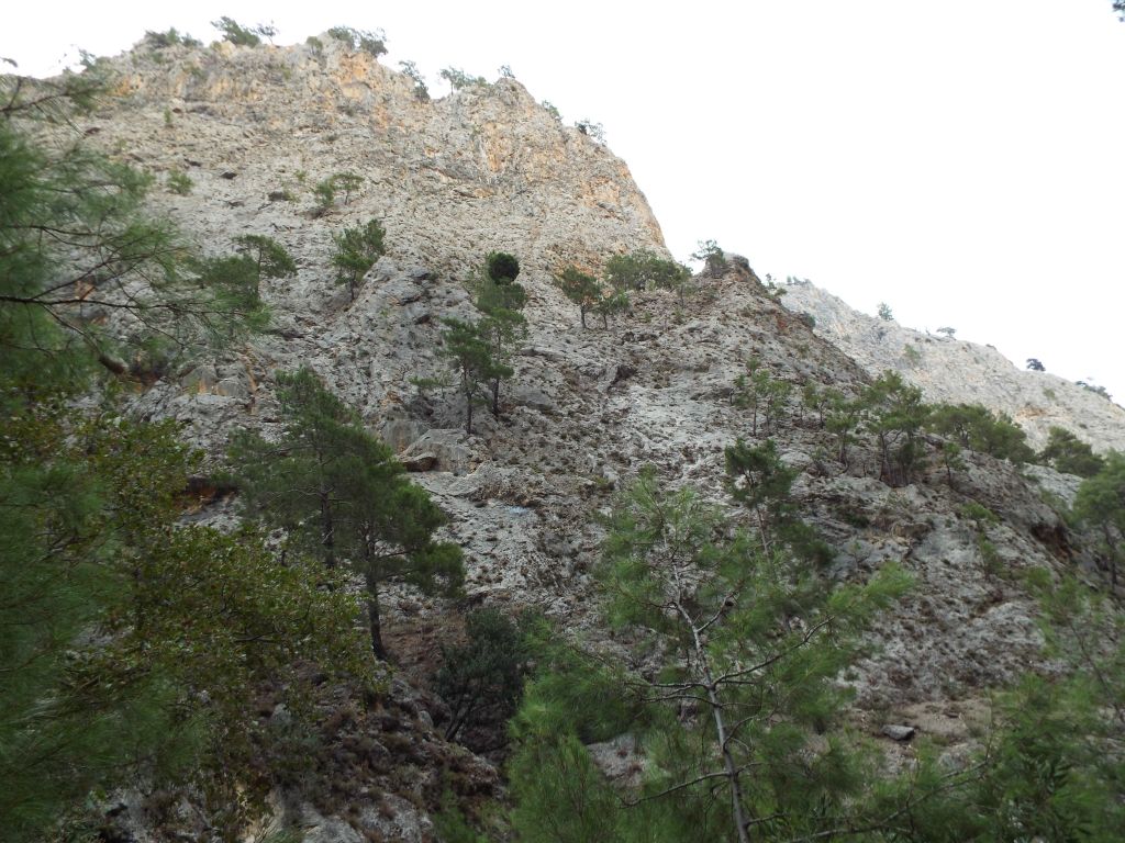 The White Mountains (or Lefka Ori) are aptly named with so much white limestone visible everywhere: