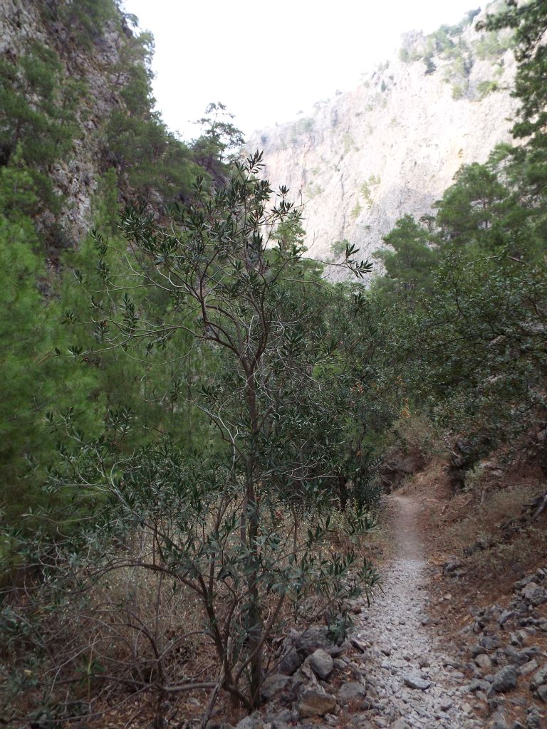 The gorge continued its pattern of curving a lot up ahead:
