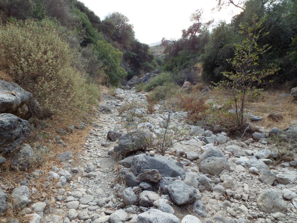 Quite abruptly, the canyon walls dropped in height and we were hiking through a wash surrounded by rolling hills: