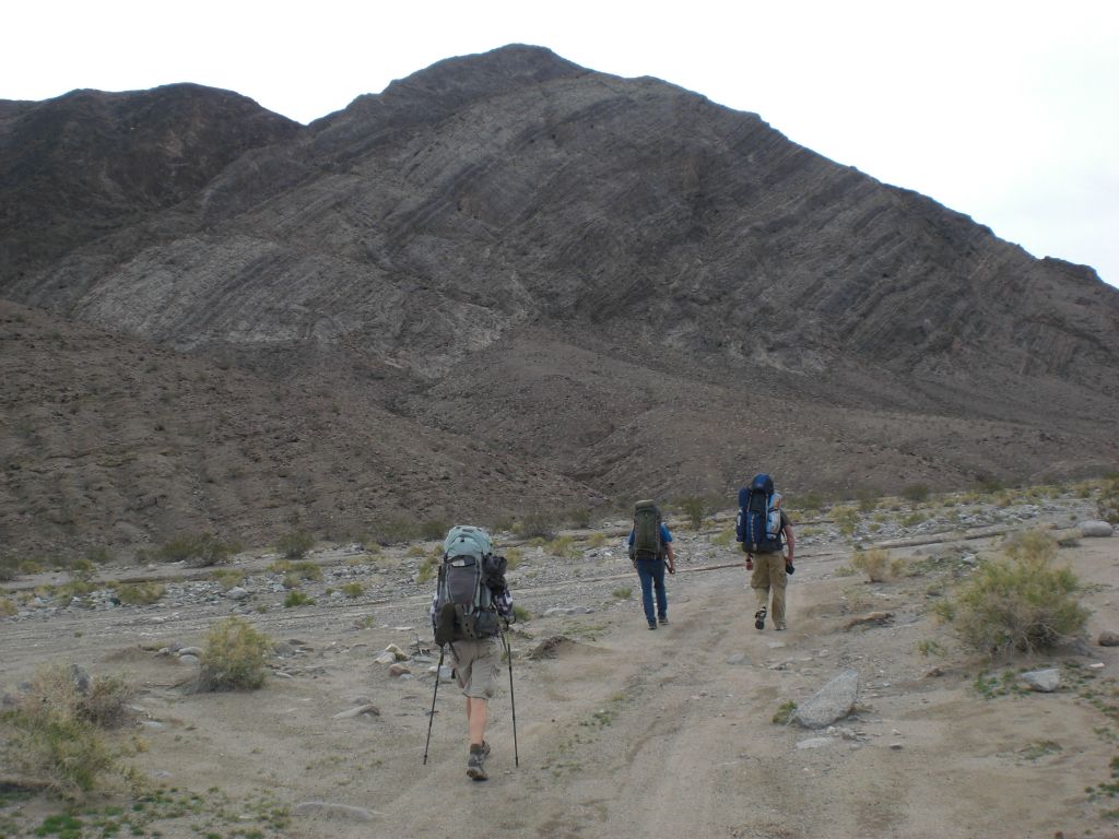 For the first 8.4 miles, we followed the tracks of the Cottonwood Canyon Rd.: