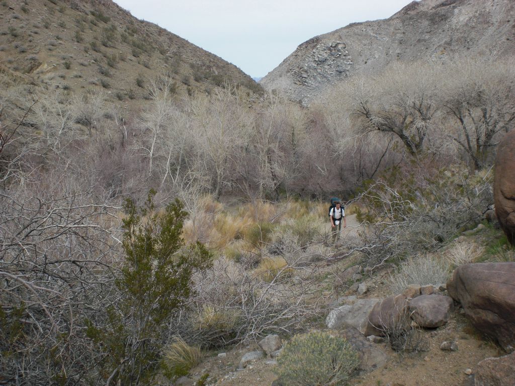 Brandon making his way through the overgrown brush of Lower spring.  It wasn't always easy, but we found a way to make it through: