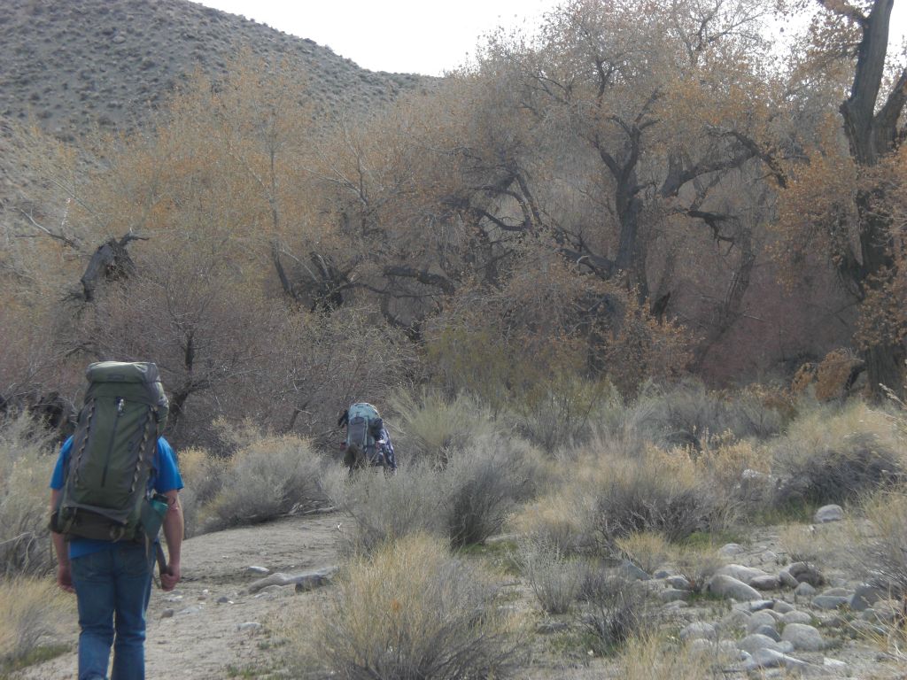 A short time after leaving Lower spring, we arrived at Middle spring.  The trees were mostly bare because we were here in the late Winter.  At other times of the year, this can be a lush green place: