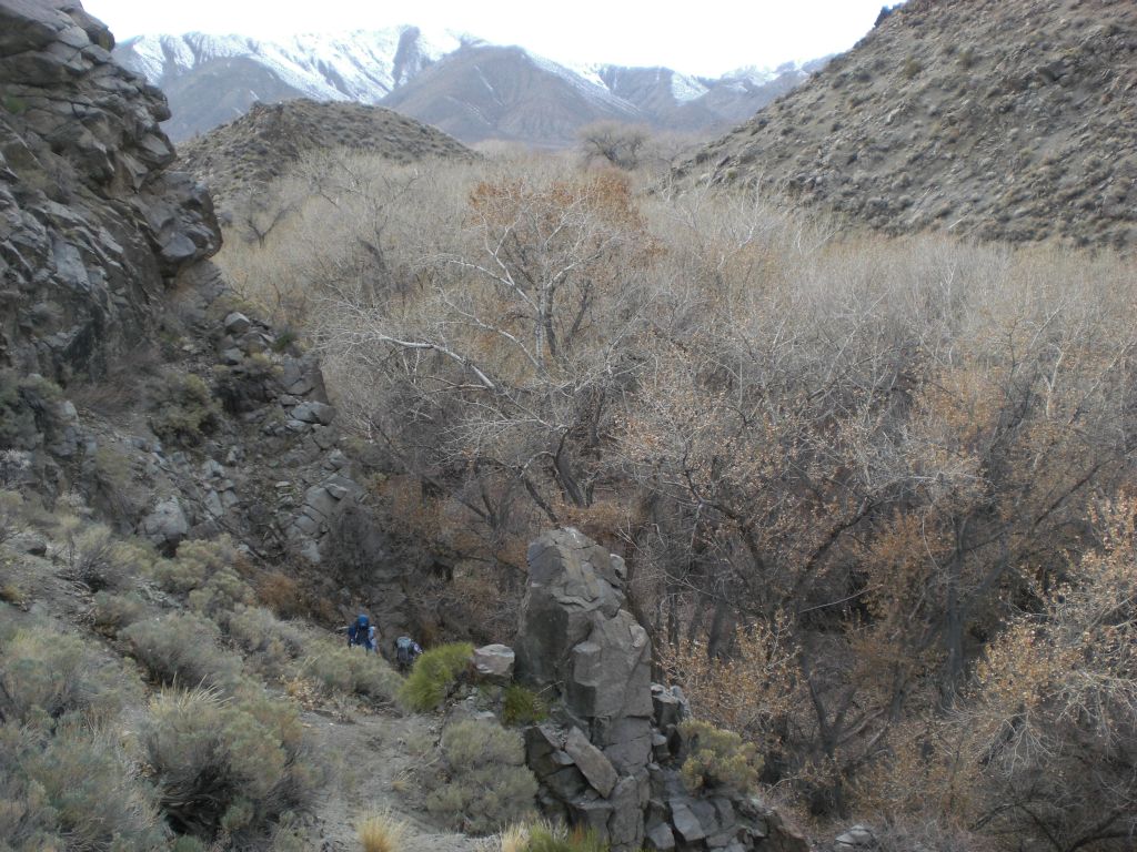 As we progressed through Cottonwood Spring, we first hiked on the right side and then crossed over and hiked on the left side: