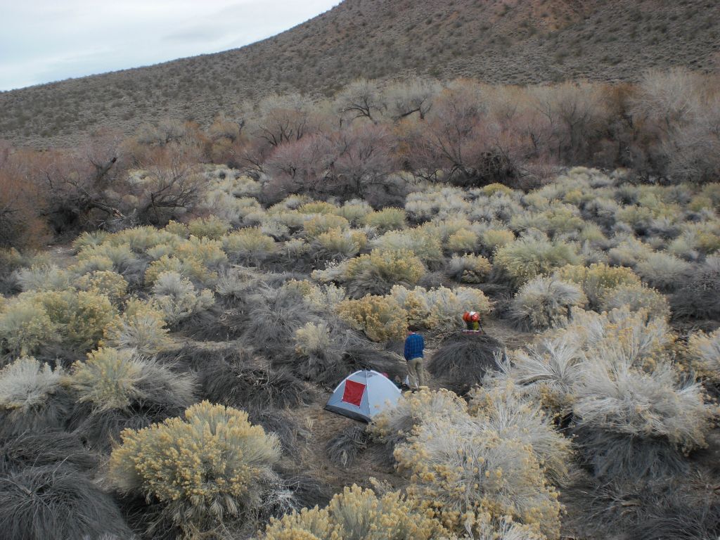 There were quite a few level sandy spots where we could set up our tents.  It was nice to do so after hiking 12.4 miles and ending up at an elevation of 3,630 feet: