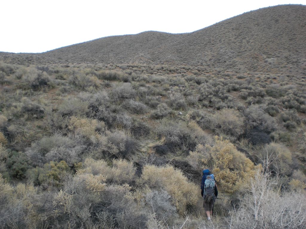 Here we have reached the dry spring and turned left close to the base of the hillside and are heading back uphill: