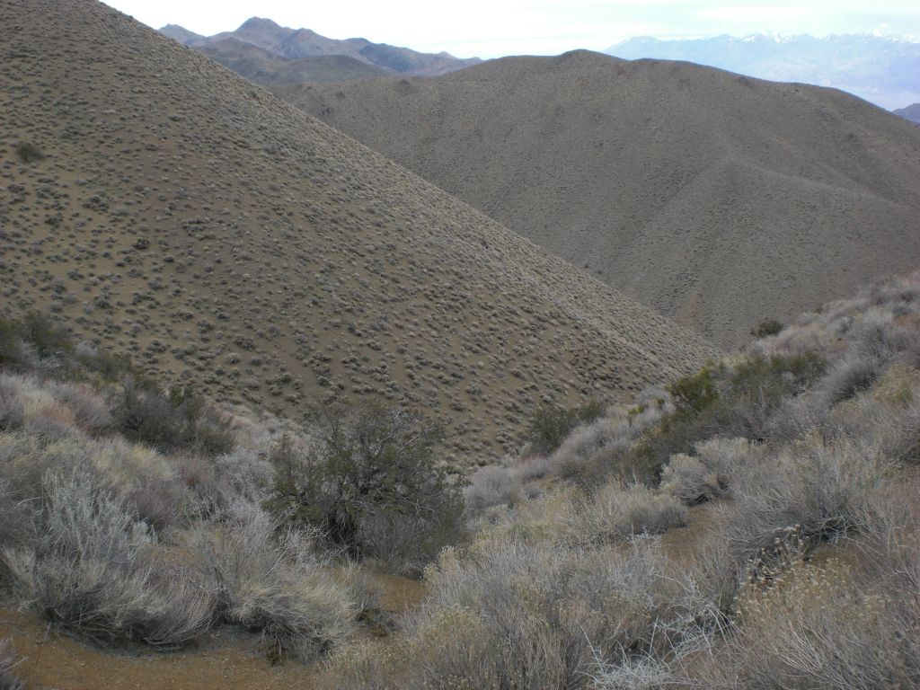This is the first view looking down into the side canyon which drops into Dead Horse Canyon:
