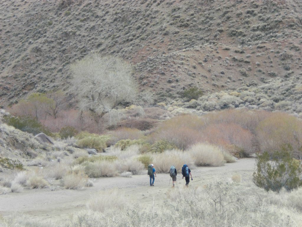Our group is now on the canyon floor and walking towards Lower Dead Horse Spring: