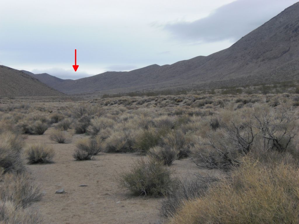 After we turned right and were heading even farther up Cottonwood Canyon, the first pass became clearly visible far in the distance (it is the low point in the ridgeline):