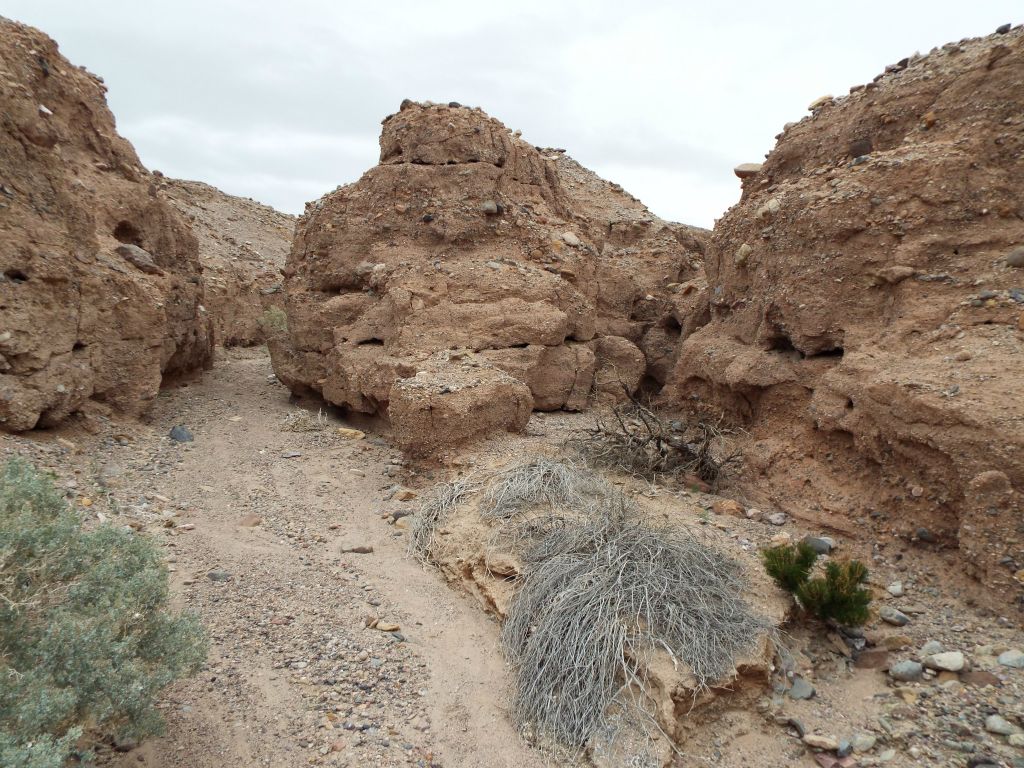 Two more side canyons that we went into.  All of these side canyons were interesting but not special in any way: