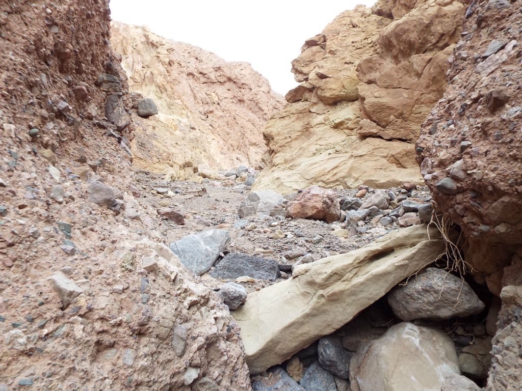 The canyon completely transitions upon exiting the slot narrows into a wide open area: