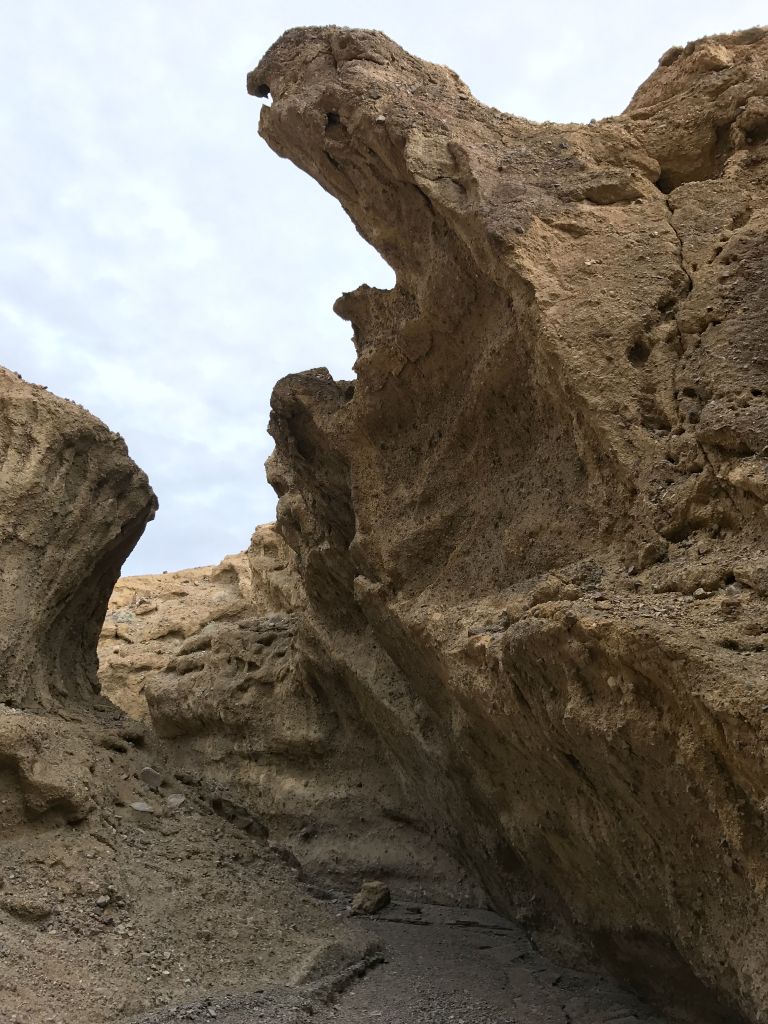 These are some of the highlights which will be enjoyed by those who are approaching Funeral Slot Main Side Canyon using the direct route that we did: