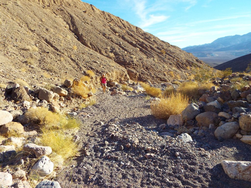 Daria hiking up the wash on a warm November afternoon: