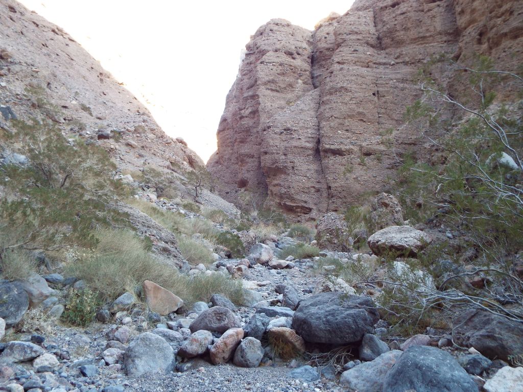 There are very few obstacles in the canyon before the major dry fall.  This is fairly easy family hiking: