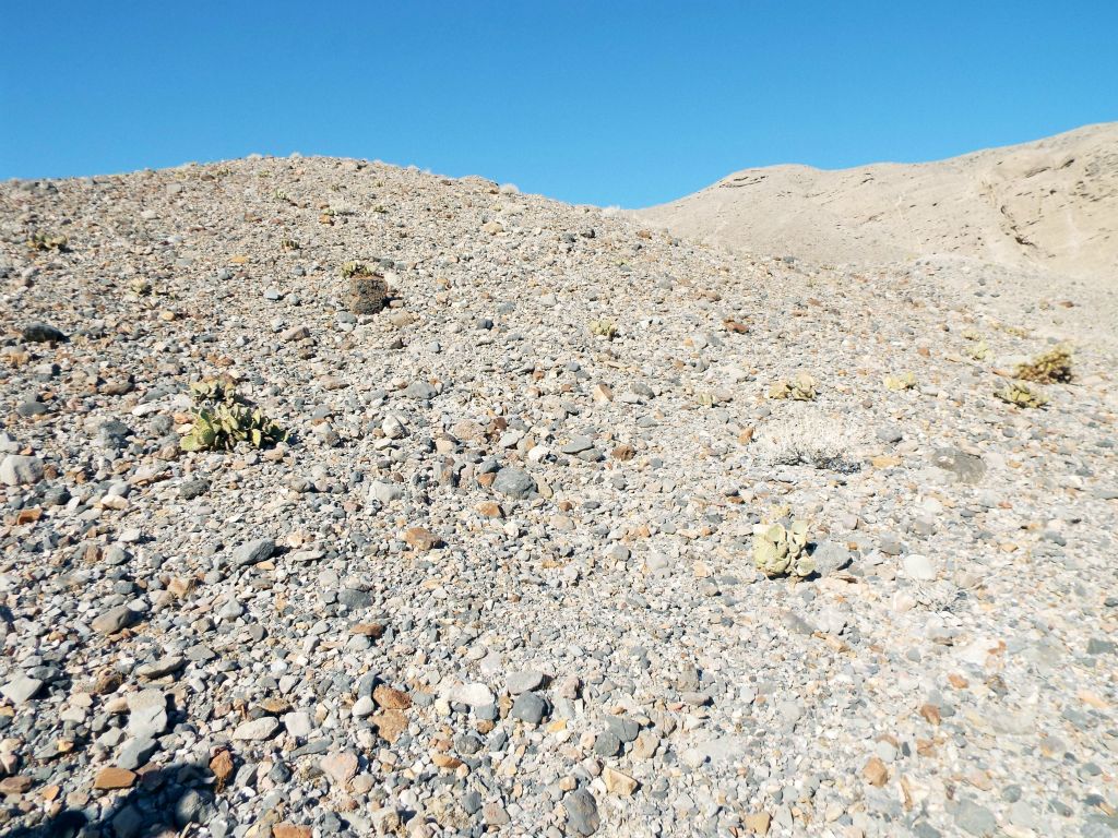 Three years later, I returned to Mummy Canyon with my friend Josh and decided to climb up to the western ridge.  Here, we are climbing up the hillside from the canyon wash not far from the highway: