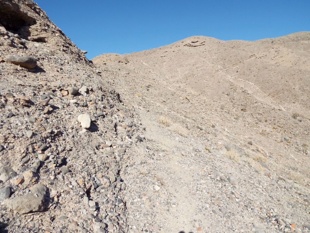 Picking up a sheep trail made climbing the hillside a little bit easier: