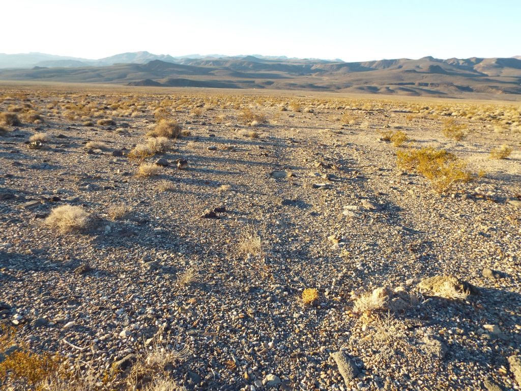 Here you can see the faint tire tracks of the old road.  We followed this old road almost the entire way to the gap: