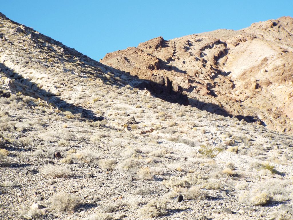 We had a long ways to go, but our first objective was to reach the 1st saddle.  It doesn't look too difficult from here, right?: