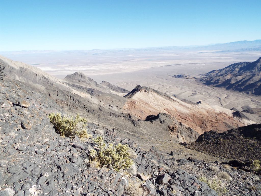 This section was mostly just a rocky slope with very few plants growing: