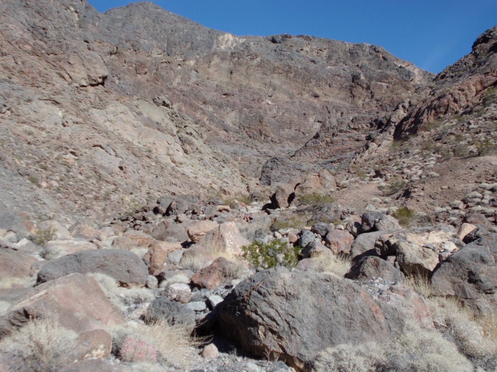 Gradually, the wash becomes littered with boulders along the way: