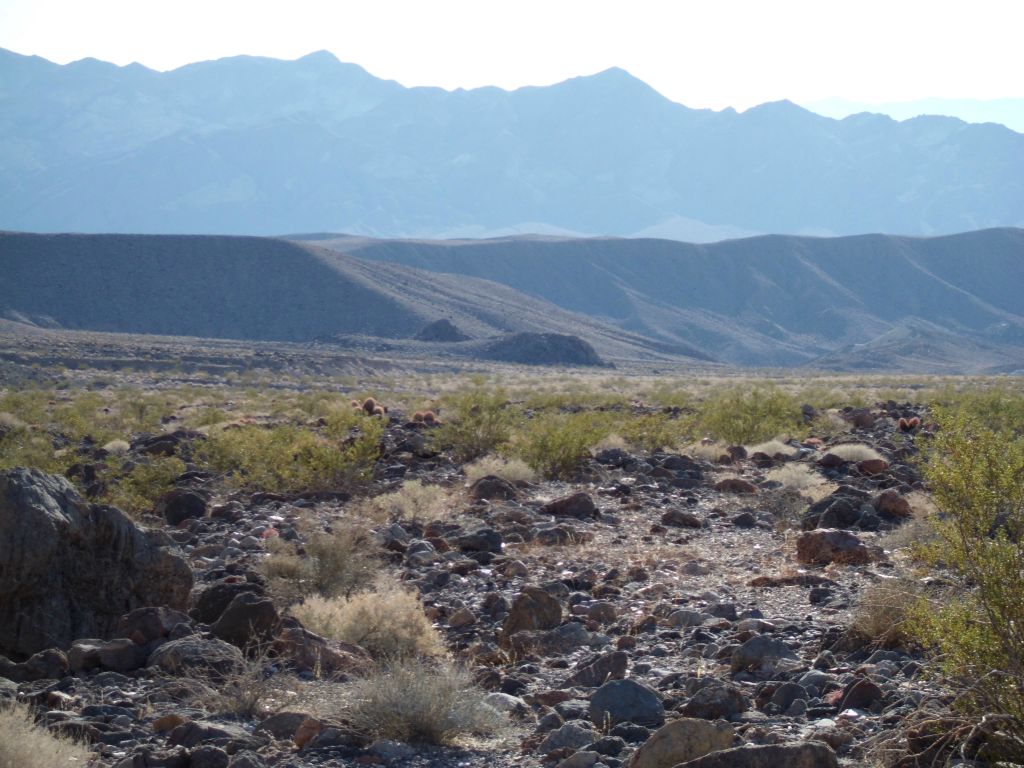 In the distance, we are heading towards Strange Place (the triangular shaped rock) and the ridge above it: