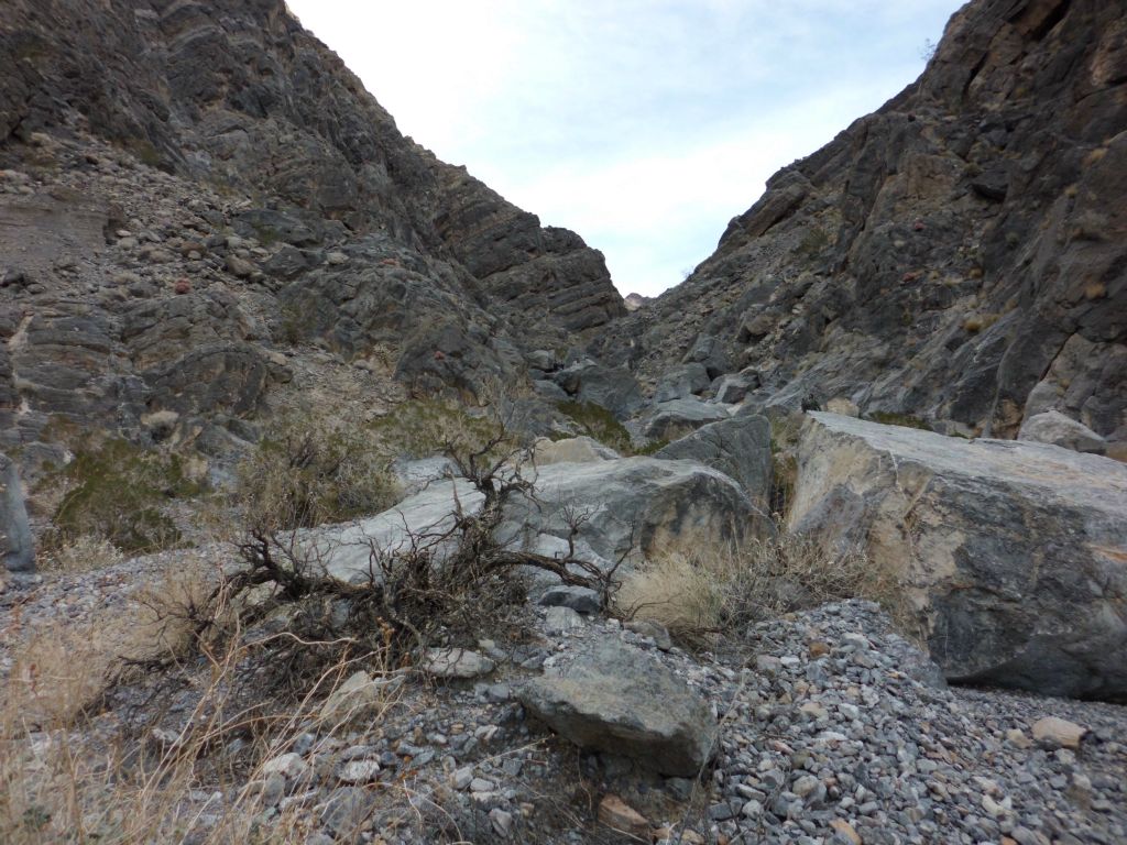First view up the canyon and what's the first thing that you notice (in the wash)?: