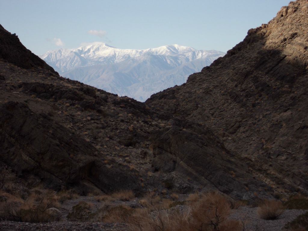 A fantastic view of Telescope Peak from inside the canyon: