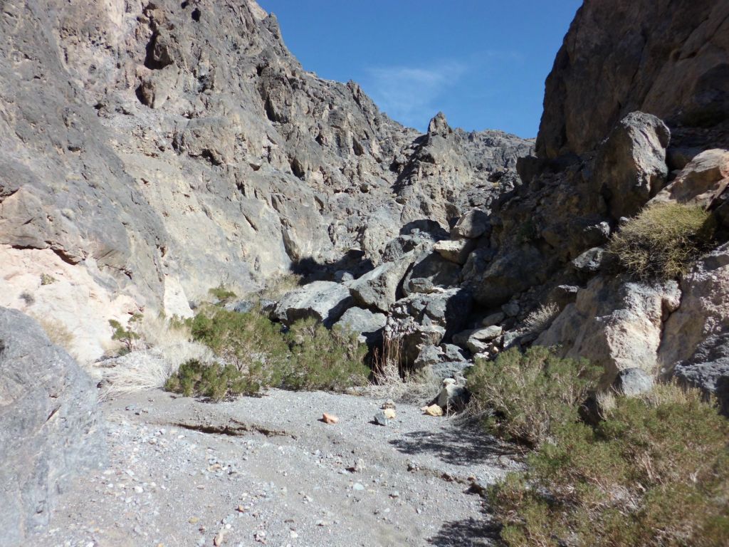 As we looked up canyon from this spot, a new world of discovery awaited us.  We were about to explore about 3 miles of undocumented canyon: