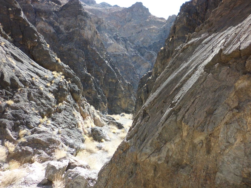Looking back down the canyon from the rock that Charlie was standing on in the previous picture: