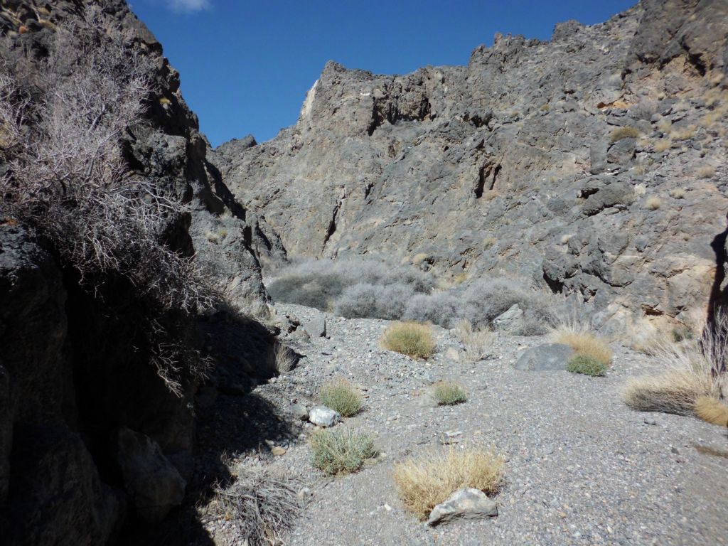 Rounding a bend in the canyon wondering what we would find next: