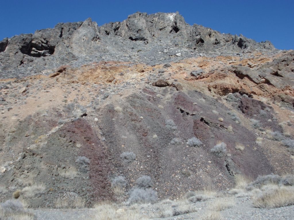 A variety of colors on display up on the hillside: