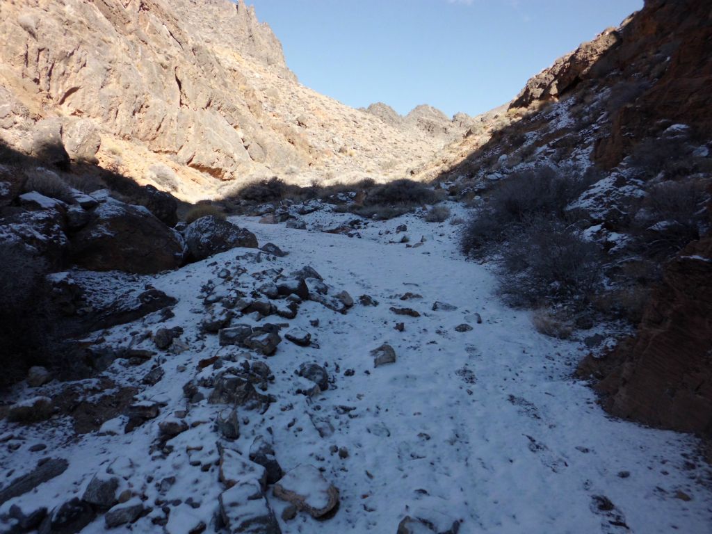 The snow path continued through this section of canyon that seems to get little sunlight: