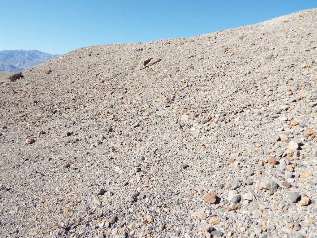 This is the faint use trail which climbs up the northern bank of the Fall Canyon wash: