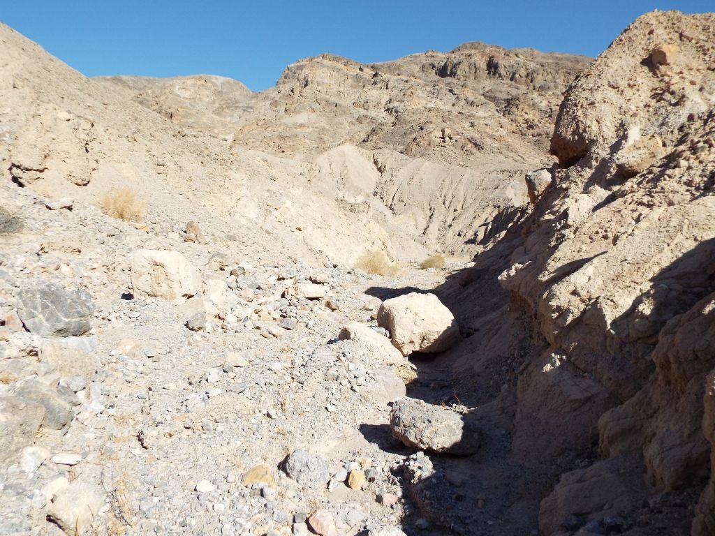 Upon turning around and heading back up canyon through the narrows, we entered another open area:
